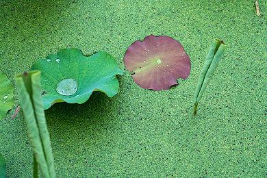 横版射击《劲爆51飞行队》中文版3月16日登陆NS